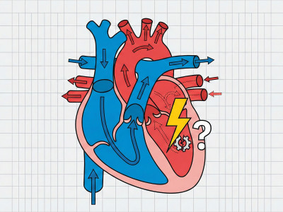 Чим лікувати серцеву недостатність? Ефективна стратегія відновлення