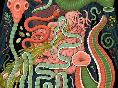 Як вигнати паразитів з організму? Ефективна програма очищення